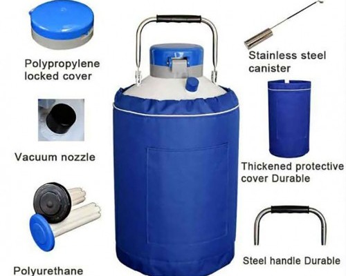 Liquid Nitrogen Container - Bangladesh